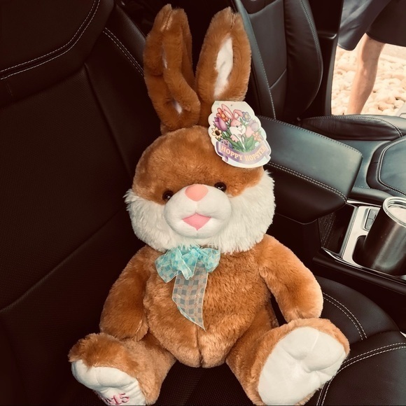 Hoppy Hopster Dan Dee 2015 Brown Plush Easter Rabbit 24”‎ Brown Rare W/Tags - Picture 9 of 12